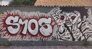 Vodeni ogled ljubljanskih grafitov